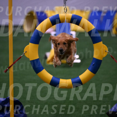Mister-Rogers-Megan-Sapsford-03779