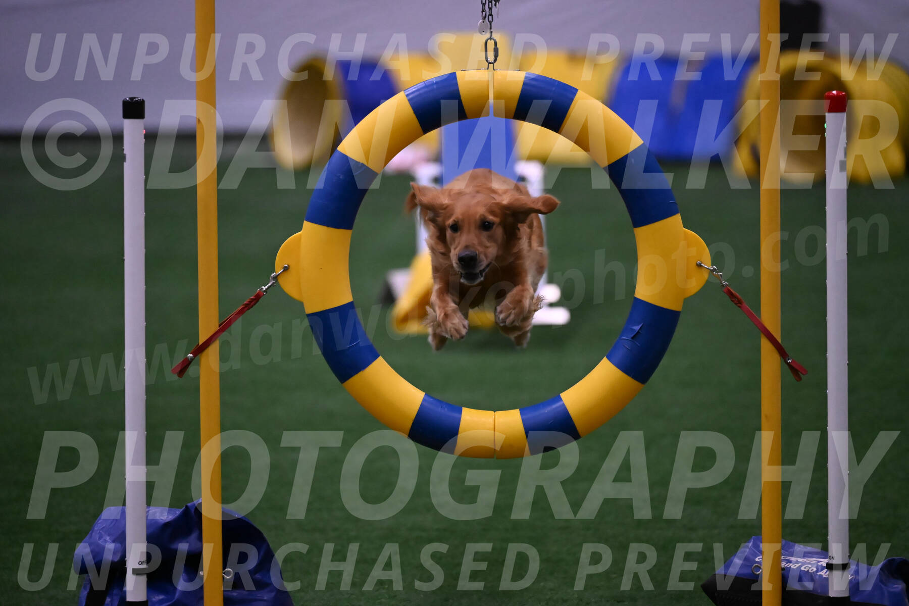 Mister-Rogers-Megan-Sapsford-03779