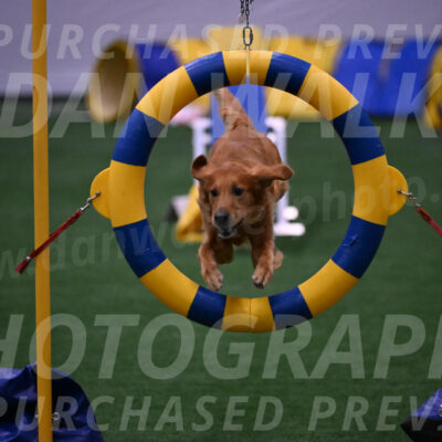 Mister-Rogers-Megan-Sapsford-03780