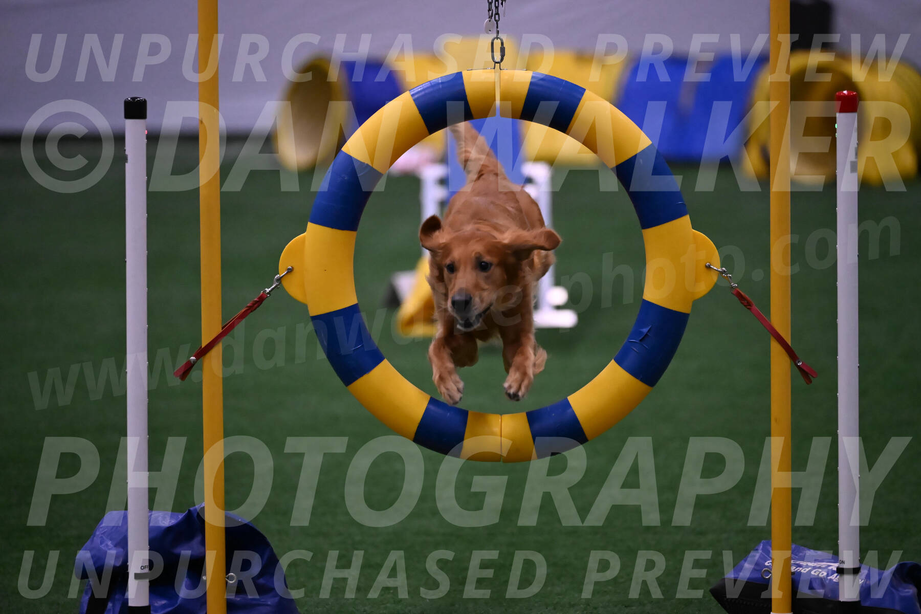 Mister-Rogers-Megan-Sapsford-03780