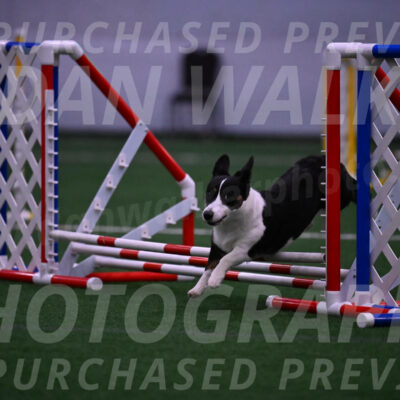Morgan-Sarah-Friedlander-09600