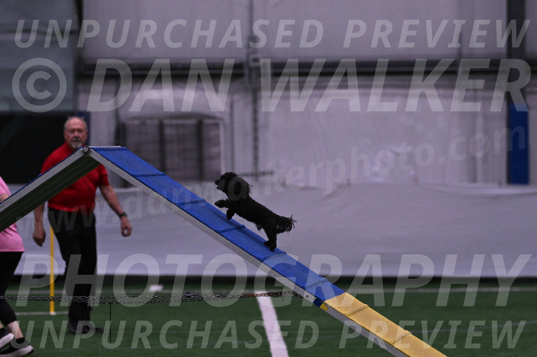 Murphy-Janice-Bourell-Casey-07852
