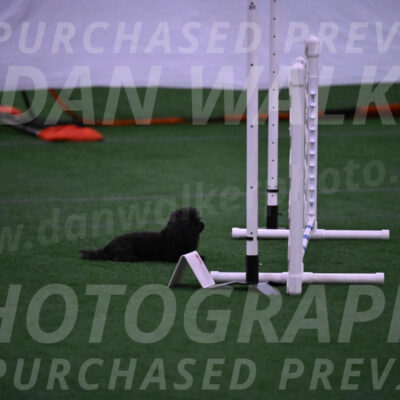 Murphy-Janice-Bourell-Casey-07904