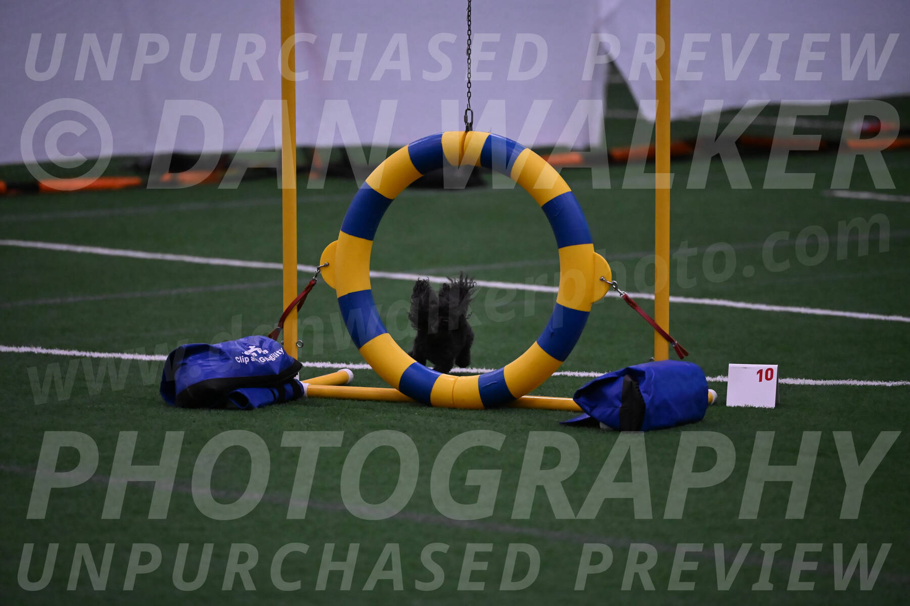 Murphy-Janice-Bourell-Casey-07919