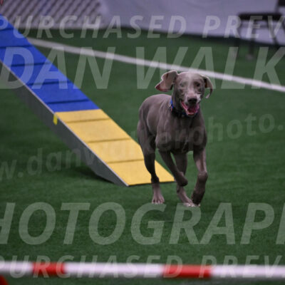 Opie-Roseanne-Brown-05157