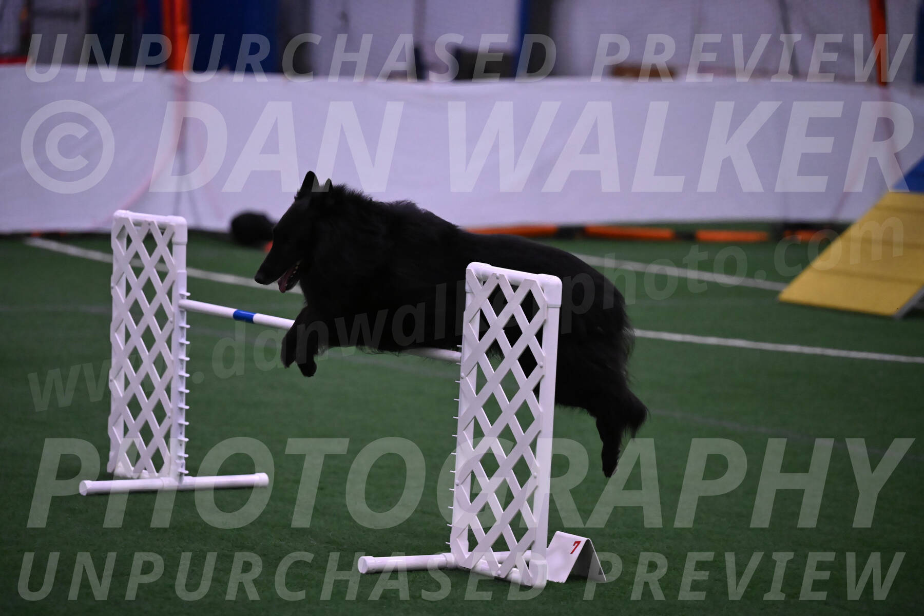 Oscar-Martha-Caldwell-04356