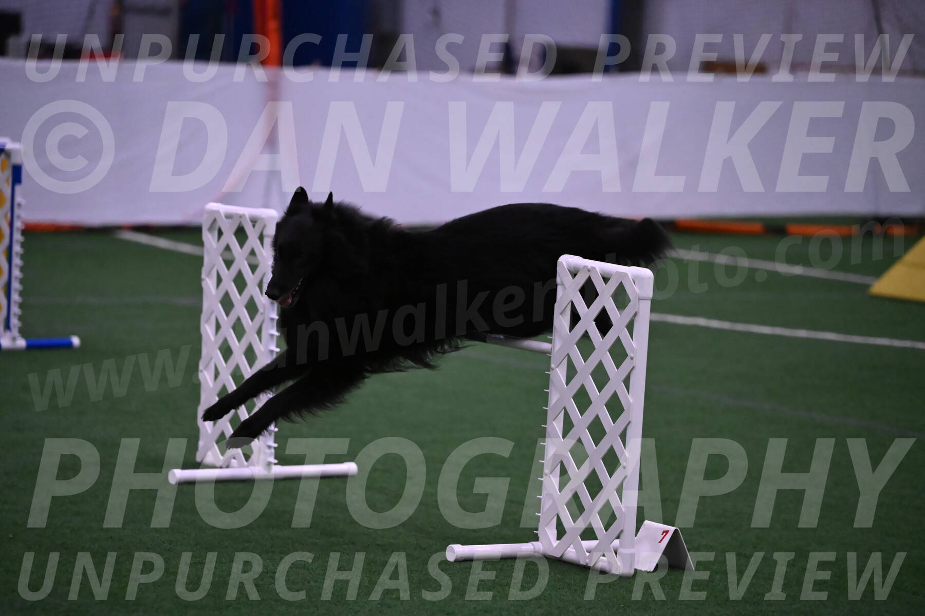 Oscar-Martha-Caldwell-04358