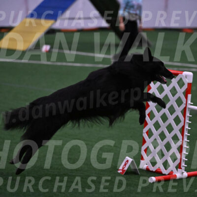 Oscar-Martha-Caldwell-04360