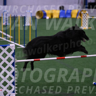 Oscar-Martha-Caldwell-04366