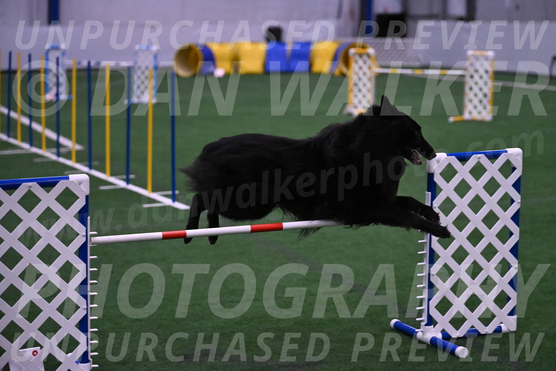 Oscar-Martha-Caldwell-04367