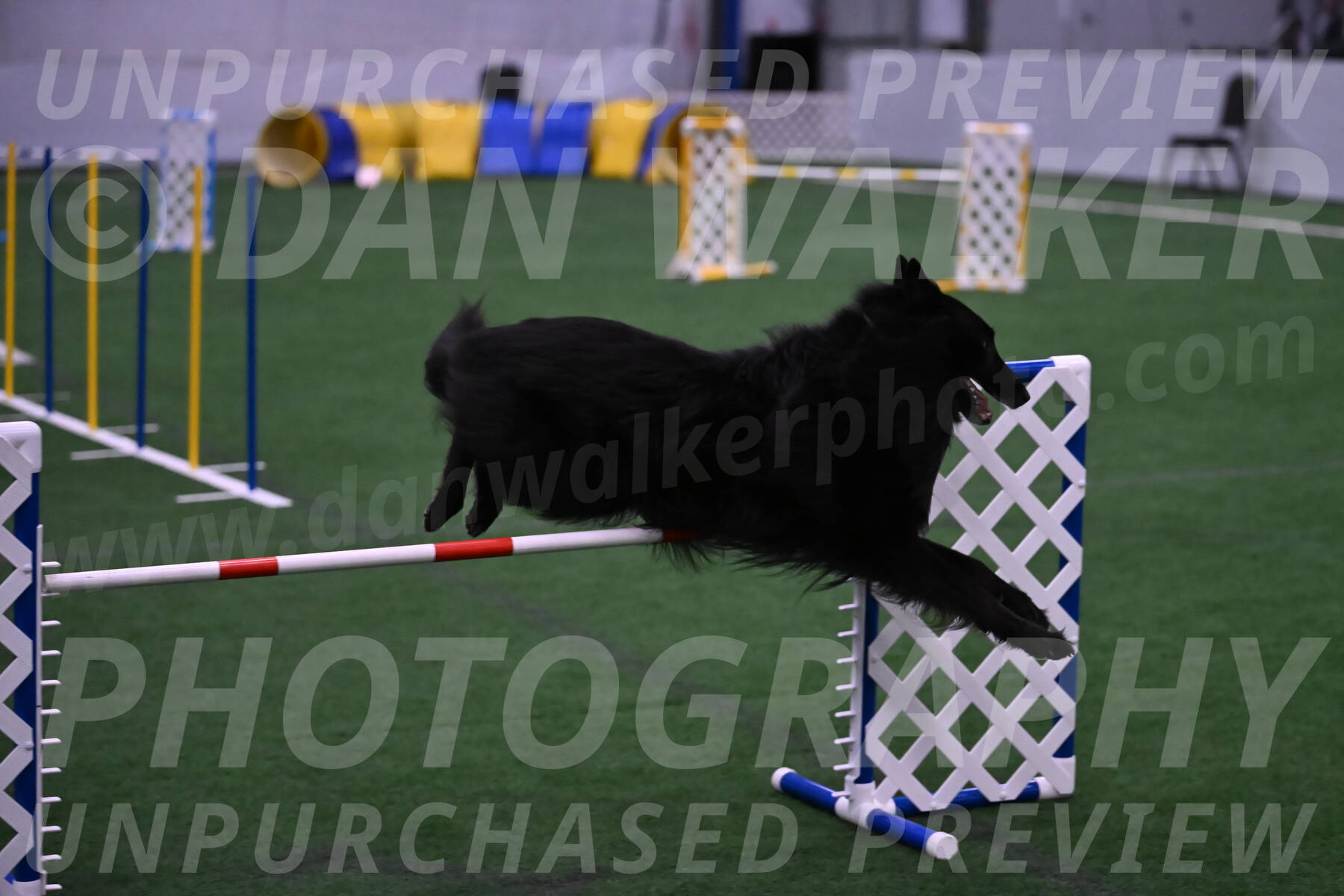 Oscar-Martha-Caldwell-04368
