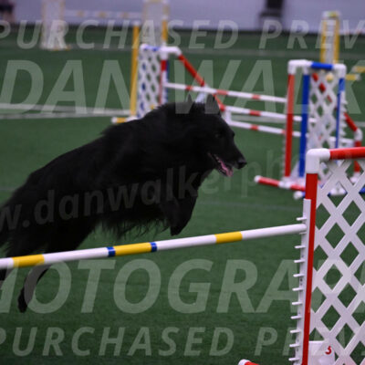 Oscar-Martha-Caldwell-04394