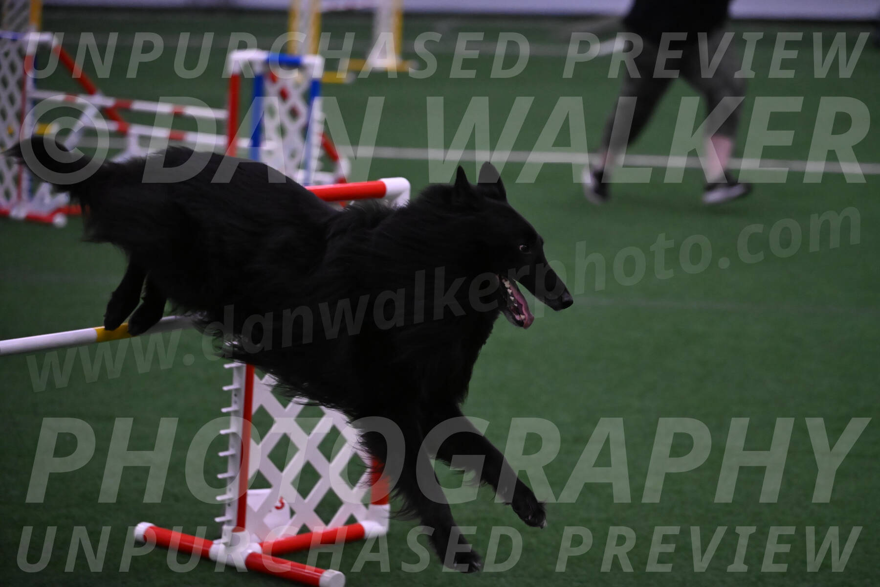 Oscar-Martha-Caldwell-04399