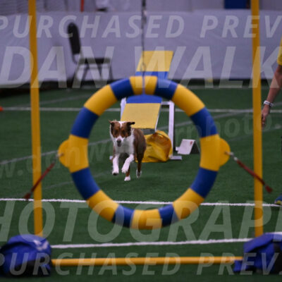 Phizz-Jamie-Scheff-01109
