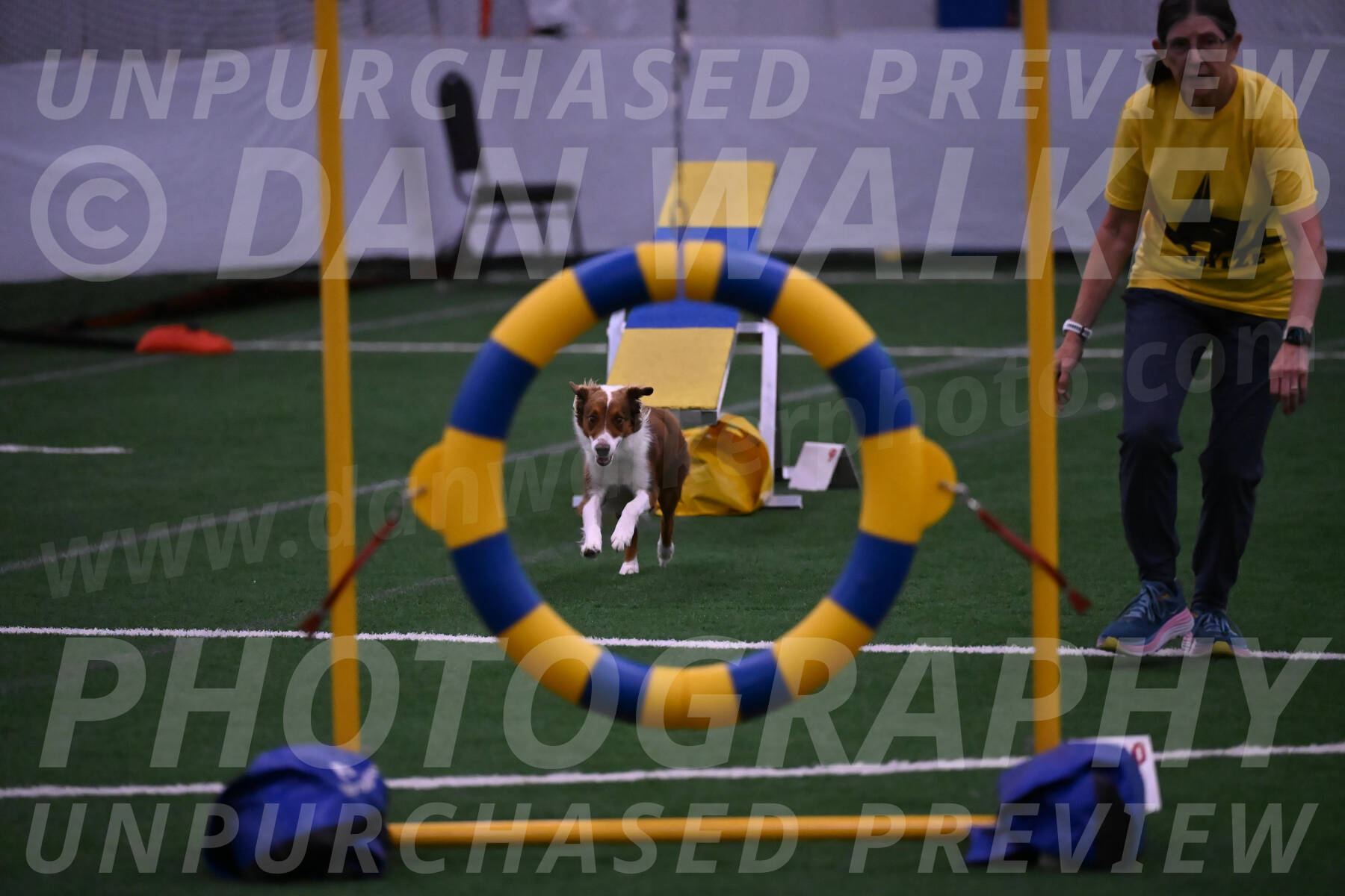 Phizz-Jamie-Scheff-01109