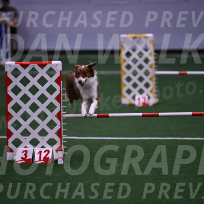 Phizz-Jamie-Scheff-01121