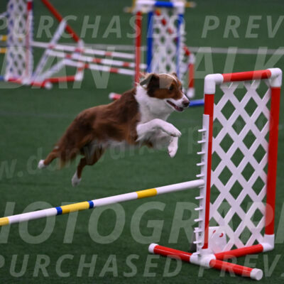 Phizz-Jamie-Scheff-01165
