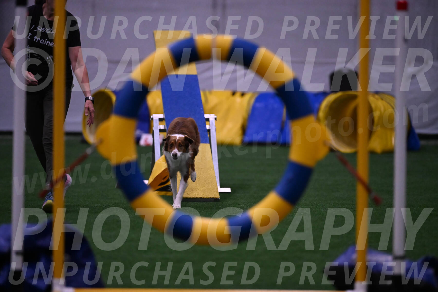 Phizz-Jamie-Scheff-01169