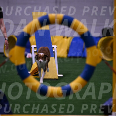 Phizz-Jamie-Scheff-01169