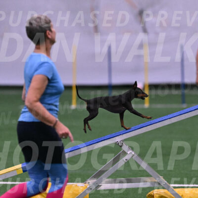 Pip-Beth-Mathews-Bradshaw-10605
