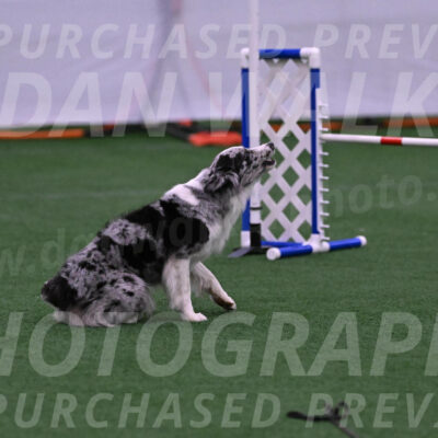 Plum-Cynthia-Hokes-02682