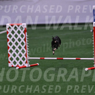 Prix-Beth-Mathews-Bradshaw-08023