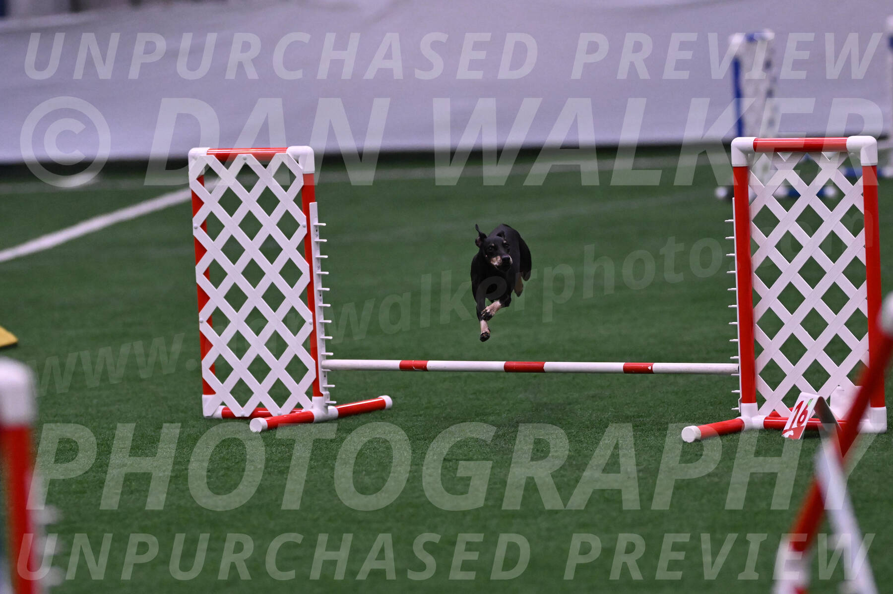 Prix-Beth-Mathews-Bradshaw-08023