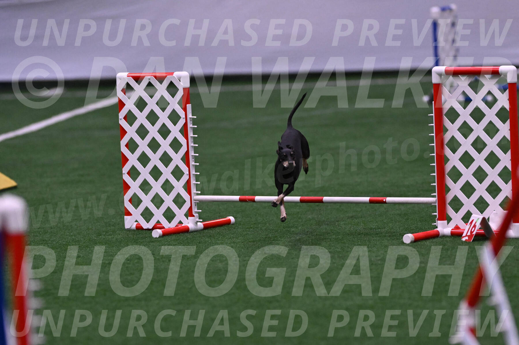 Prix-Beth-Mathews-Bradshaw-08024