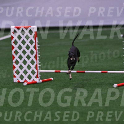 Prix-Beth-Mathews-Bradshaw-08024