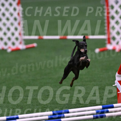 Prix-Beth-Mathews-Bradshaw-08026