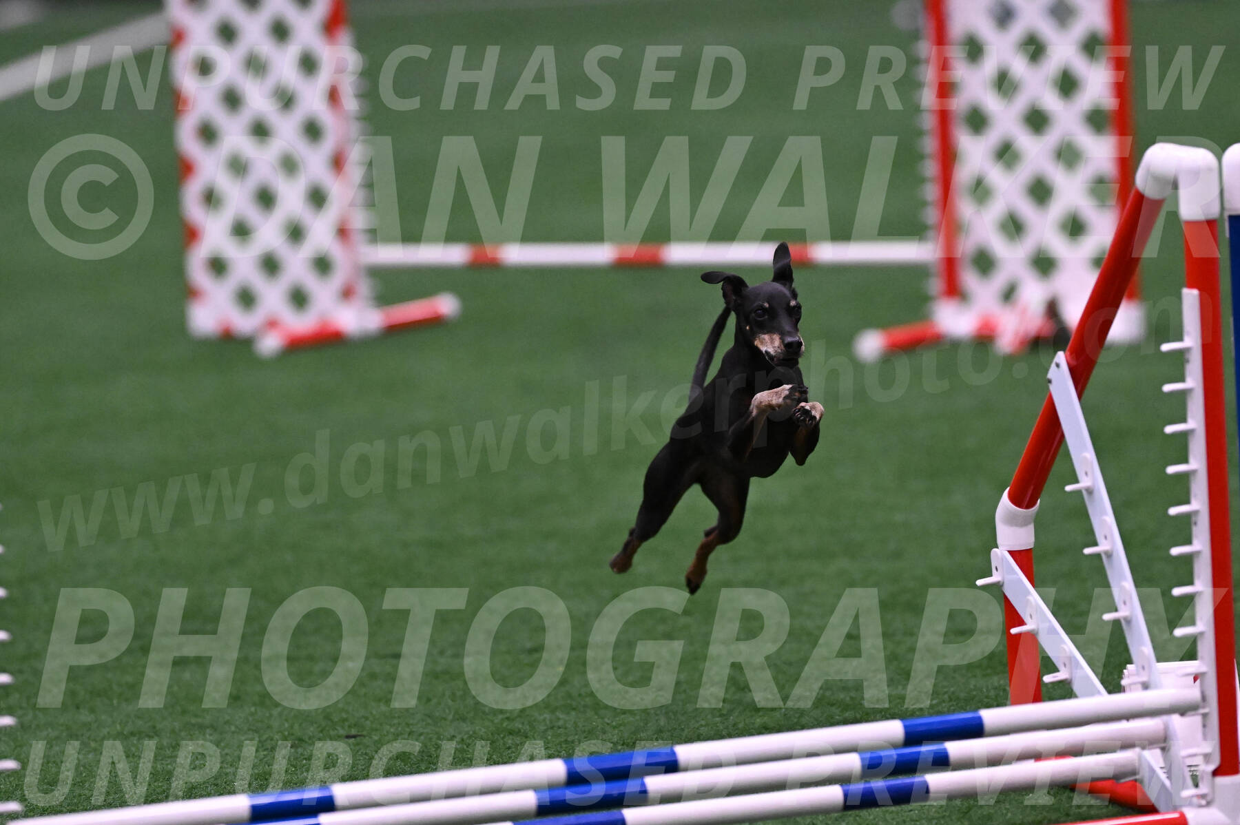 Prix-Beth-Mathews-Bradshaw-08026