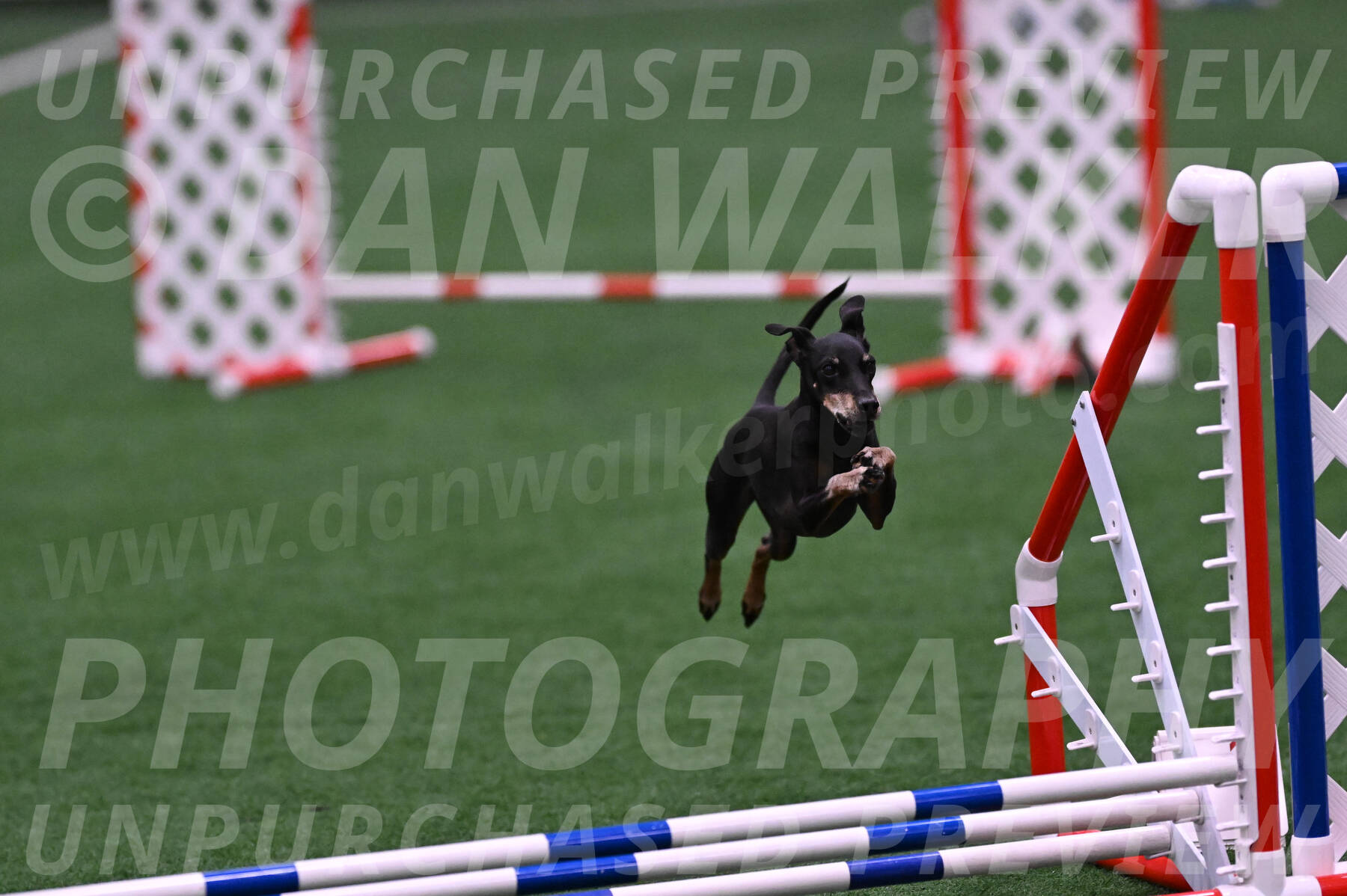 Prix-Beth-Mathews-Bradshaw-08027