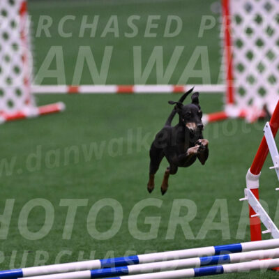 Prix-Beth-Mathews-Bradshaw-08027