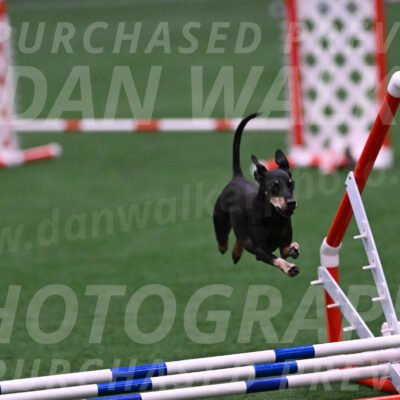 Prix-Beth-Mathews-Bradshaw-08028