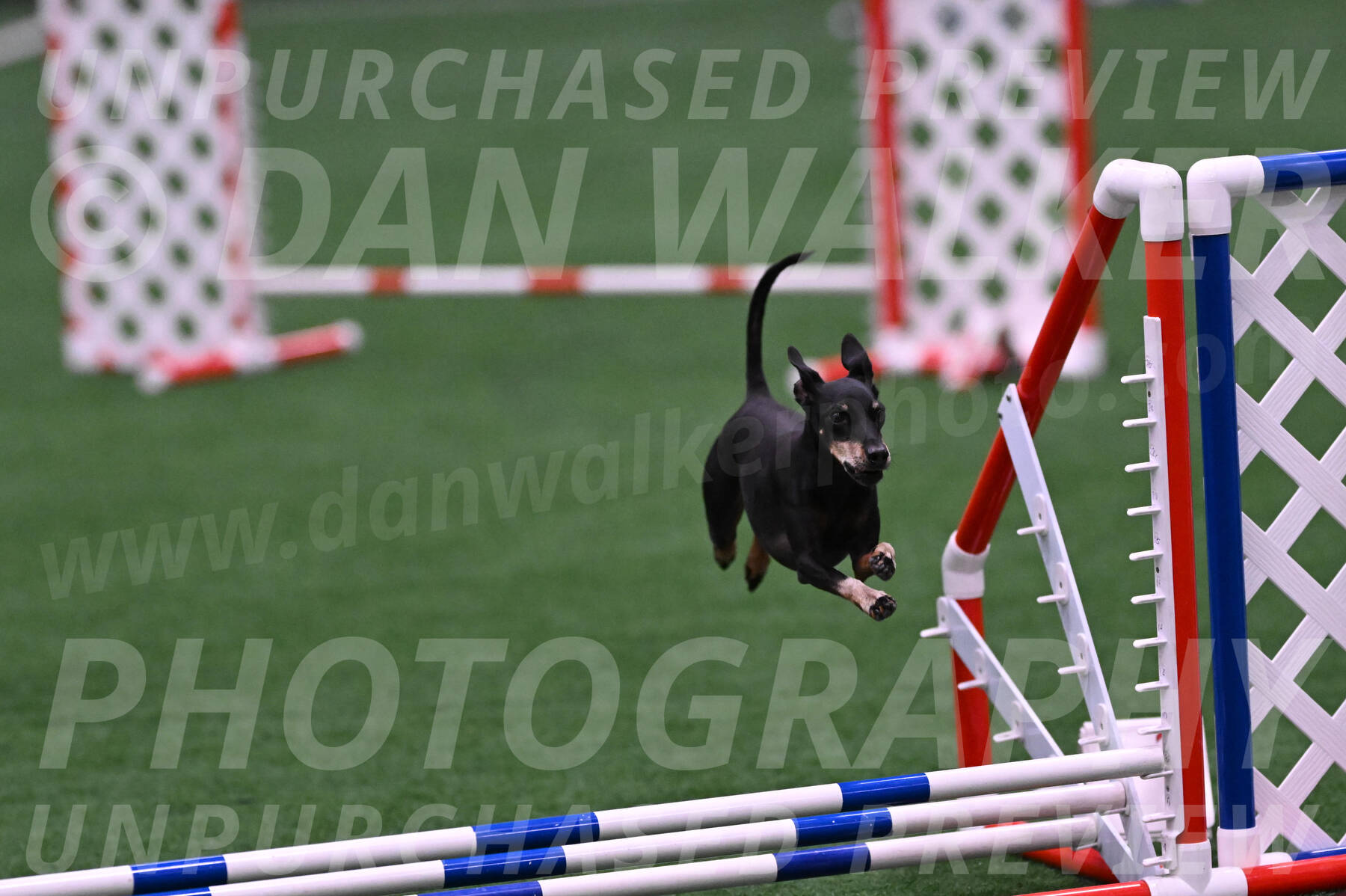 Prix-Beth-Mathews-Bradshaw-08028