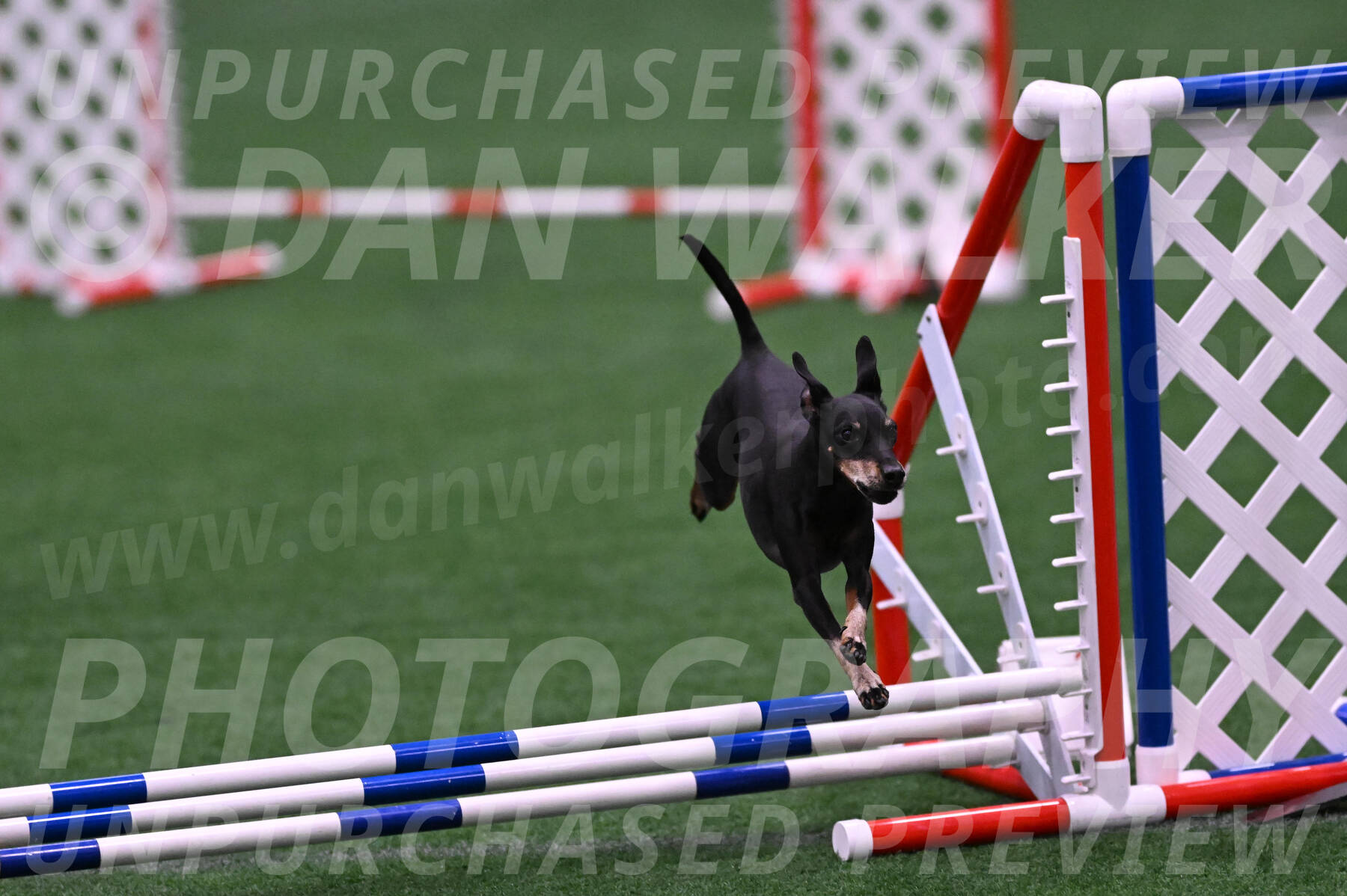 Prix-Beth-Mathews-Bradshaw-08029