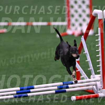 Prix-Beth-Mathews-Bradshaw-08029