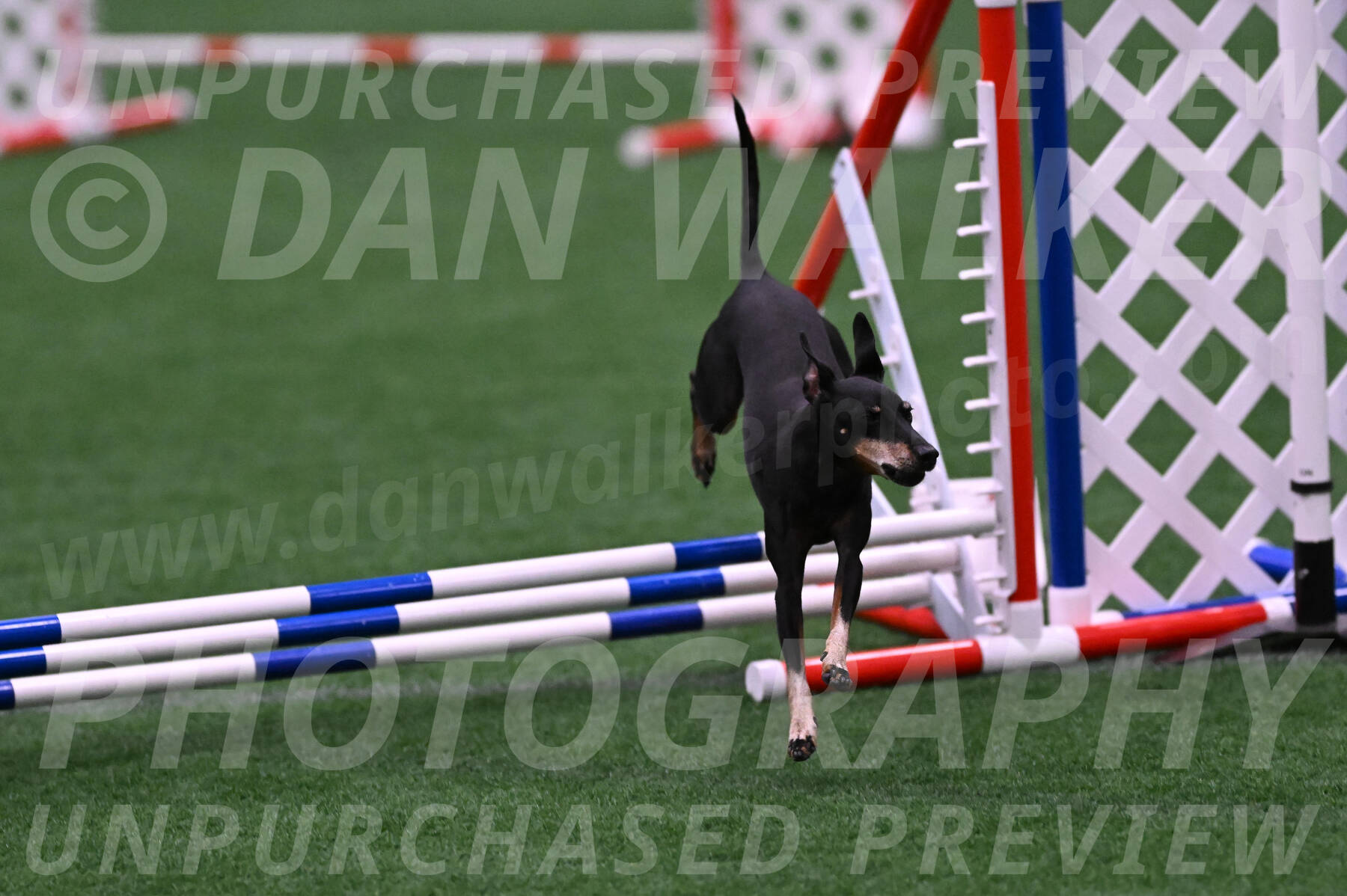 Prix-Beth-Mathews-Bradshaw-08030