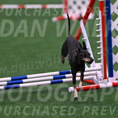 Prix-Beth-Mathews-Bradshaw-08030