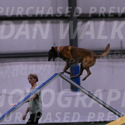 Raylan-Janet-Lasater-04538