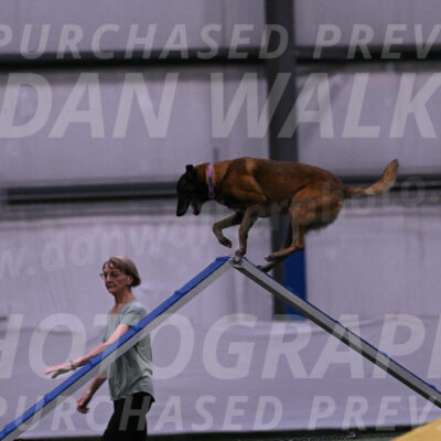 Raylan-Janet-Lasater-04539