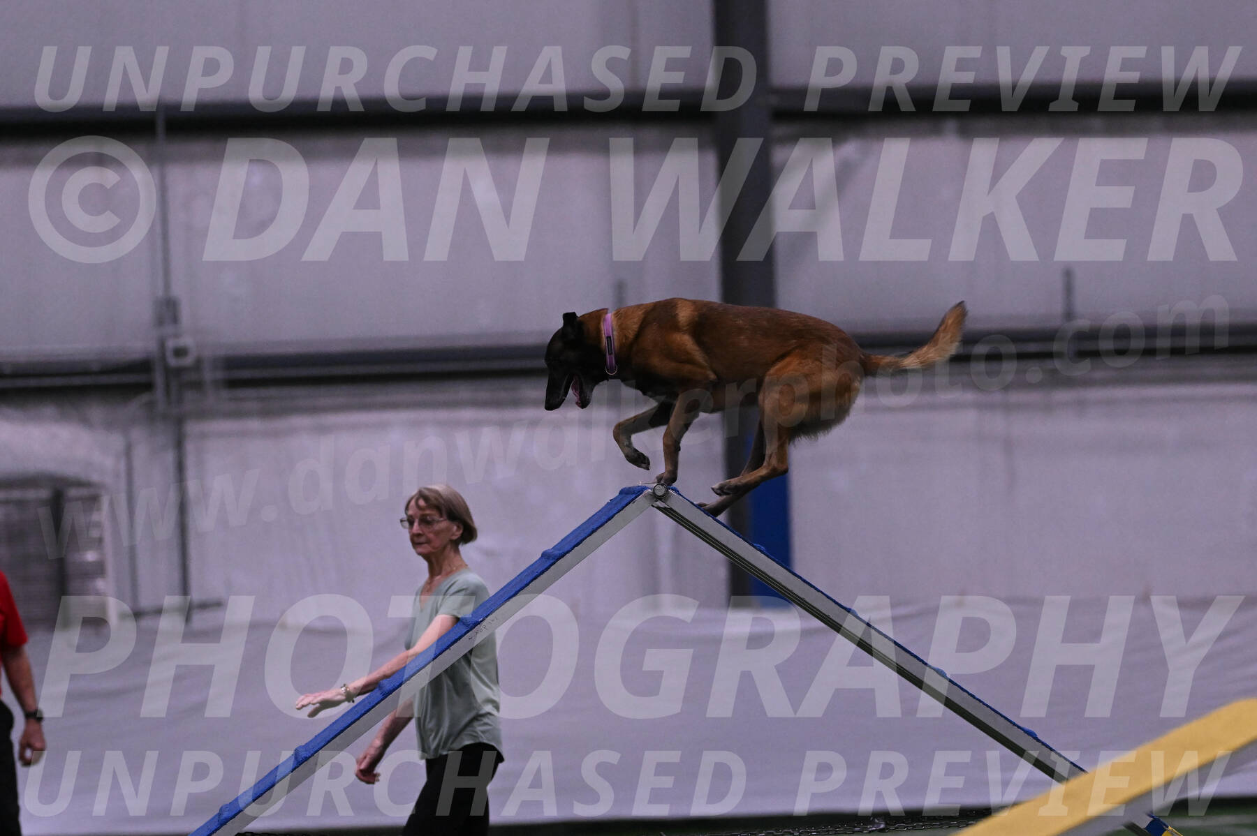 Raylan-Janet-Lasater-04539