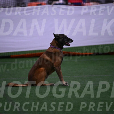 Raylan-Janet-Lasater-04575