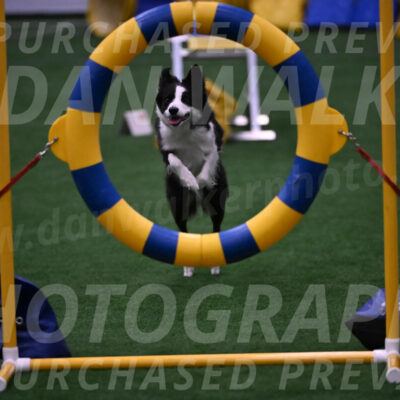 Raynie-Kris-Brown-02114