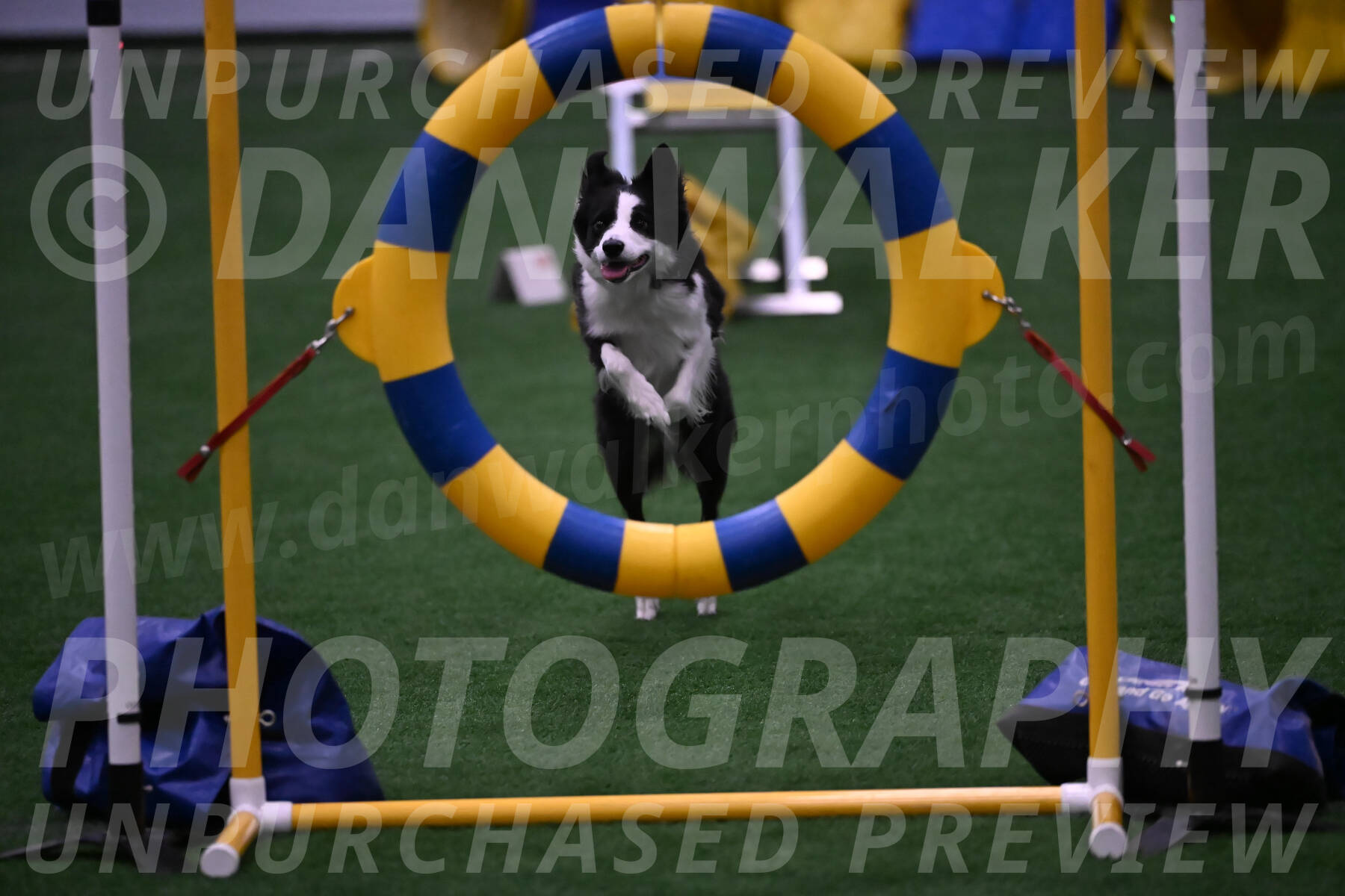 Raynie-Kris-Brown-02114