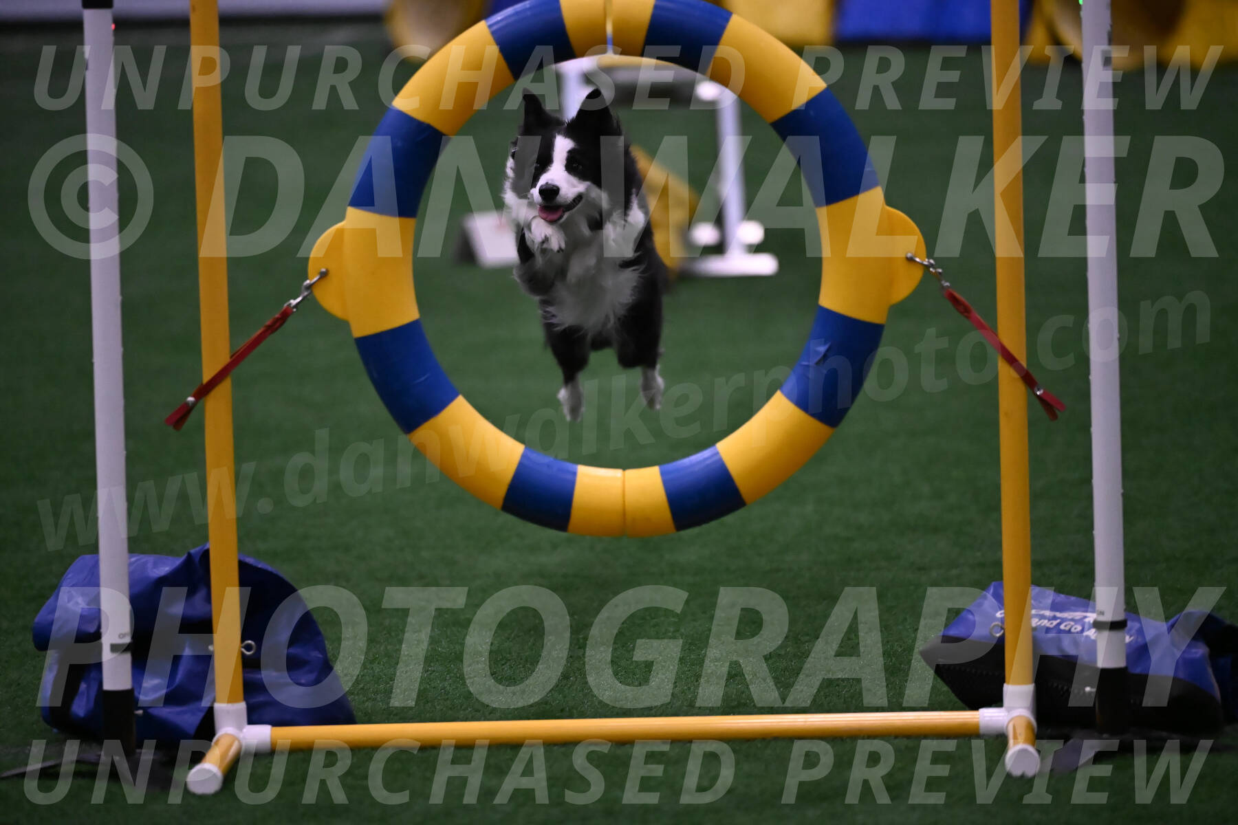 Raynie-Kris-Brown-02115