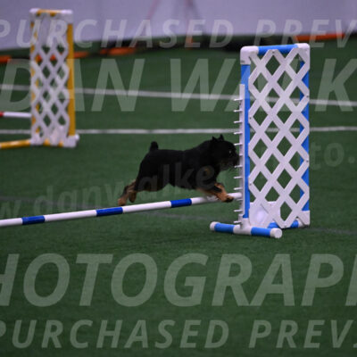 Rigsby-Gisele-Jarvie-10502