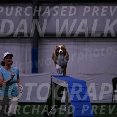 Roo-Elizabeth-Rowan-09036