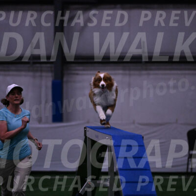 Roo-Elizabeth-Rowan-09037