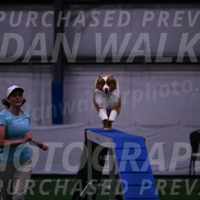 Roo-Elizabeth-Rowan-09038